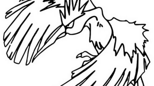 Kolorowanka Ptaków - Relaks i Kreatywność dla Wszystkich