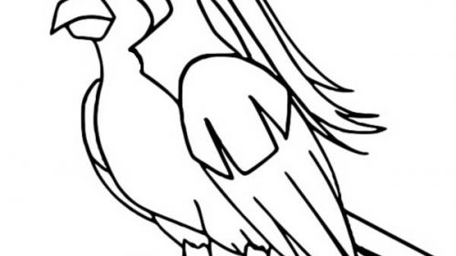 Kolorowanka Ptak - Drukowalne Rysunki dla Dzieci i Dorosłych