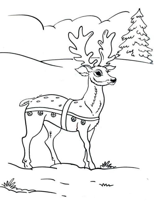 Kolorowanka z Reniferem do Druku - Kreatywna Zabawa dla Całej Rodziny