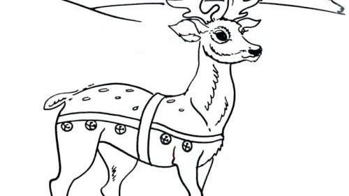 Kolorowanka z Reniferem do Druku - Kreatywna Zabawa dla Całej Rodziny